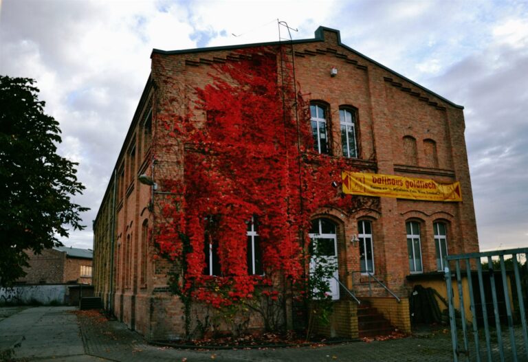 Ballhaus Goldfisch, Greifswald – Tango Argentino with Mabel Elena Rivero